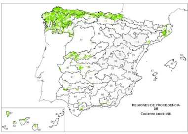 localización