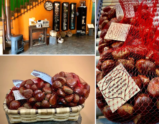 Tienda