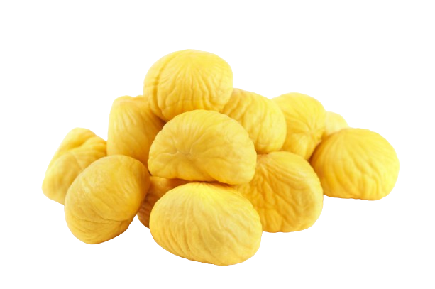Pilongas2